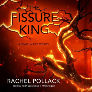 Audio The Fissure King: A Novel in Five Stories Rachel Pollack