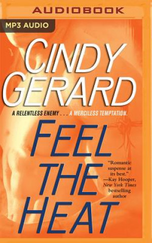 Audio FEEL THE HEAT                M Cindy Gerard