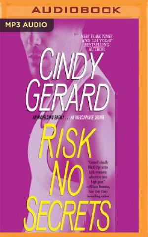 Audio RISK NO SECRETS              M Cindy Gerard
