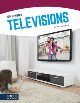 Libro Televisions Rachel Hamby