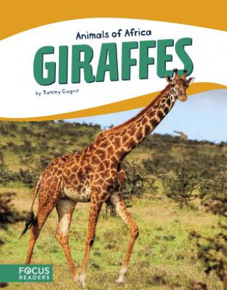 Knjiga Giraffes Tammy Gagne