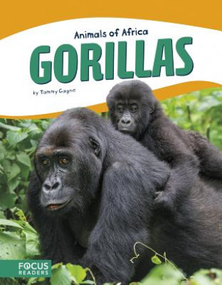 Kniha Gorillas Tammy Gagne