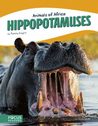 Buch Hippopotamuses Tammy Gagne