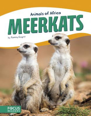 Libro Meerkats Tammy Gagne
