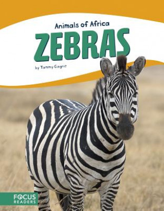 Kniha Zebras Tammy Gagne