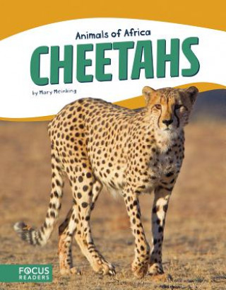 Könyv Animals of Africa: Cheetahs Mary Meinking