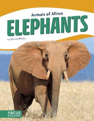 Carte Animals of Africa: Elephants Christy Mihaly