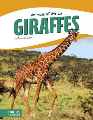 Carte Animals of Africa: Giraffes Tammy Gagne