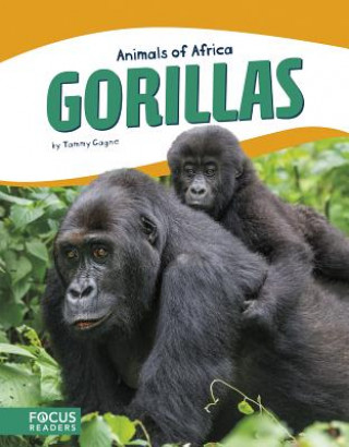 Carte Animals of Africa: Gorillas Tammy Gagne