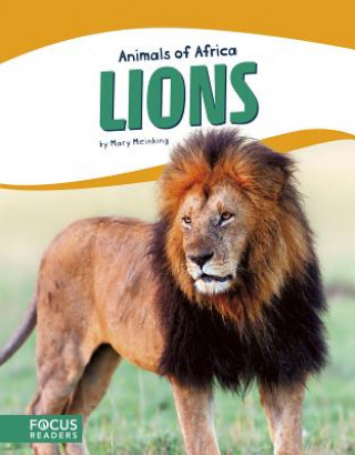 Libro Animals of Africa: Lions Mary Meinking