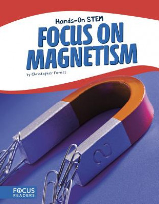 Buch Focus on Magnetism Christopher Forest