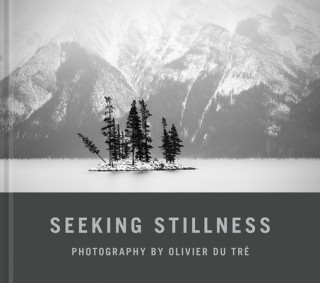 Kniha Seeking Stillness Olivier Du Tre