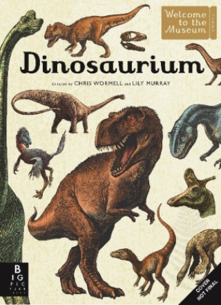 Könyv Dinosaurium Lily Murray