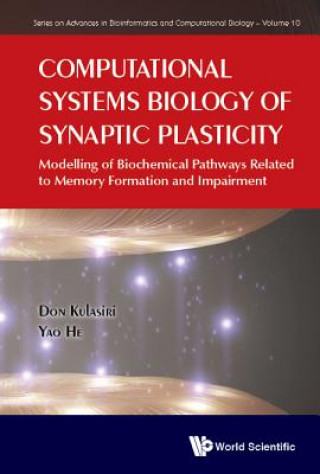 Książka Computational Systems Biology Of Synaptic Plasticity: Modelling Of Biochemical Pathways Related To Memory Formation And Impairement Don Kulasiri