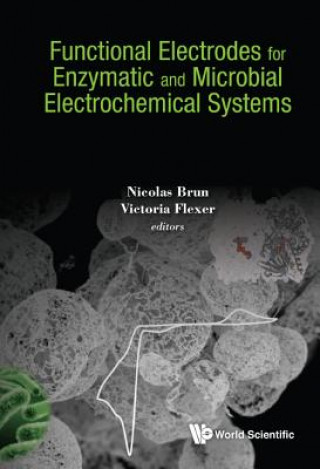 Carte Functional Electrodes For Enzymatic And Microbial Electrochemical Systems Nicolas Brun