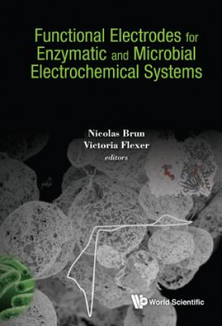 Kniha Functional Electrodes For Enzymatic And Microbial Electrochemical Systems Nicolas Brun