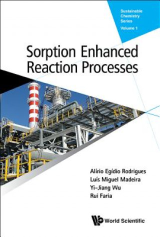 Boek Sorption Enhanced Reaction Processes Alirio Egidio Rodrigues