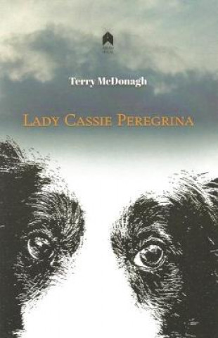 Buch Lady Cassie Peregrina Terry McDonagh