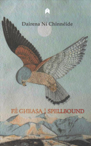 Kniha Fe Gheasa / Spellbound Dairena Ni Chinneide