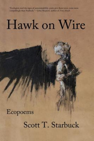 Livre HAWK ON WIRE Scott T. Starbuck