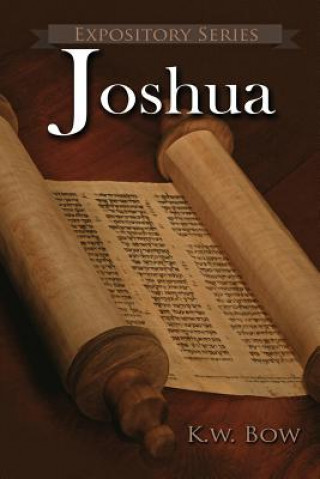 Книга Joshua 