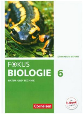 Książka Fokus Biologie 6. Jahrgangsstufe - Gymnasium Bayern - Natur und Technik: Biologie Roland Biernacki