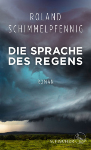 Kniha Die Sprache des Regens Roland Schimmelpfennig