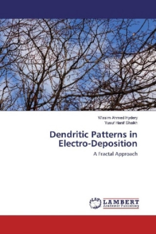 Carte Dendritic Patterns in Electro-Deposition Wasim Ahmed Hydery