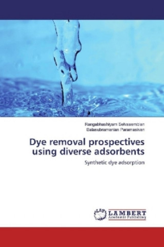 Könyv Dye removal prospectives using diverse adsorbents Rangabhashiyam Selvasembian