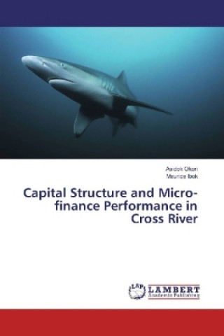 Knjiga Capital Structure and Micro-finance Performance in Cross River Asidok Okon
