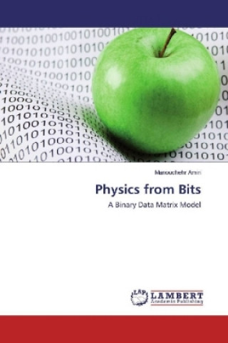 Book Physics from Bits Manouchehr Amiri