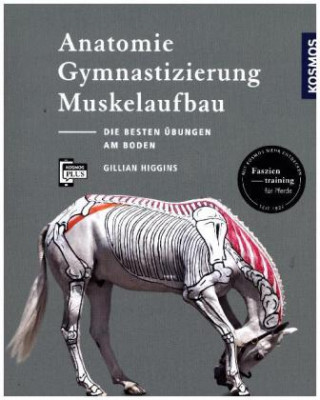 Kniha Anatomie, Gymnastizierung, Muskelaufbau Gillian Higgins