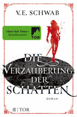 Kniha Die Verzauberung der Schatten V. E. Schwab