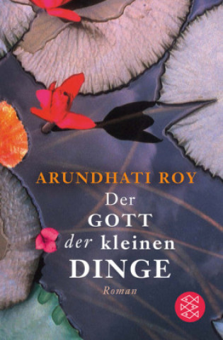 Kniha Der Gott der kleinen Dinge Arundhati Roy