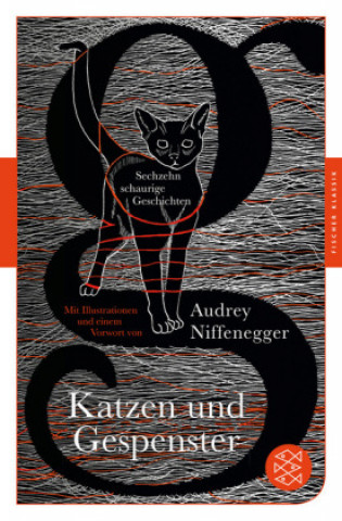 Kniha Katzen und Gespenster Audrey Niffenegger