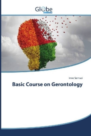 Könyv Basic Course on Gerontology Imre Semsei
