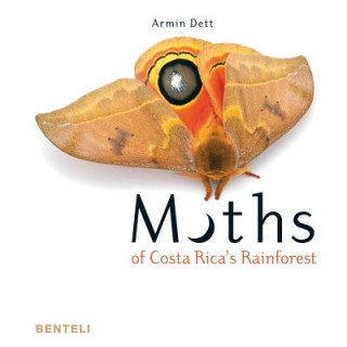 Kniha Moths of Costa Rica's Rainforest Armin Dett