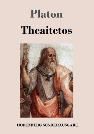 Buch Theaitetos Platon