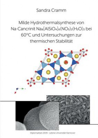 Carte Milde Hydrothermalsynthese von Na-Cancrinit Na8[AlSiO4]6(NO3)2(H2O)4 bei 60  DegreesC und Untersuchungen zur thermischen Stabilitat Sandra Cramm