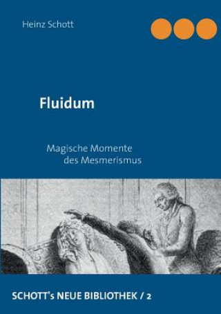 Book Fluidum Heinz Schott