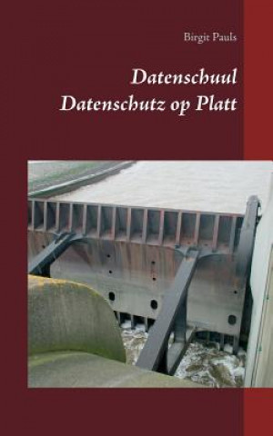 Kniha Datenschuul Birgit Pauls