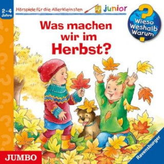 Audio Was machen wir im Herbst?, 1 Audio-CD Andrea Erne