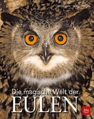 Kniha Die magische Welt der Eulen Michael Lohmann