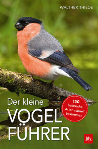 Könyv Der kleine Vogelführer Walther Thiede