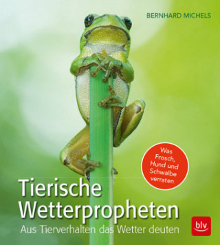 Könyv Tierische Wetterpropheten Bernhard Michels