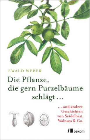 Kniha Die Pflanze, die gern Purzelbäume schlägt ... Ewald Weber