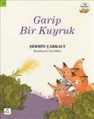 Knjiga Garip Bir Kuyruk Sermin Carkaci