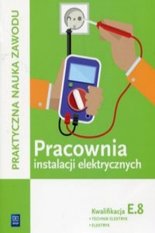 Könyv Pracownia instalacji elektrycznych Kwalifikacja E.8 Technik elektryk elektryk Stanislaw Karasiewicz