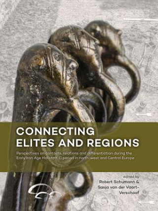 Kniha Connecting Elites and Regions Robert Schumann