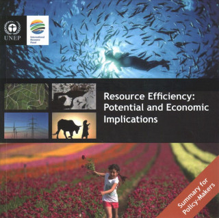 Knjiga Resource efficiency United Nations Publications